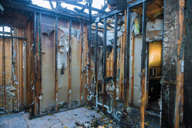 Professional Smoke Damage Removal technician working in Mason City, IL